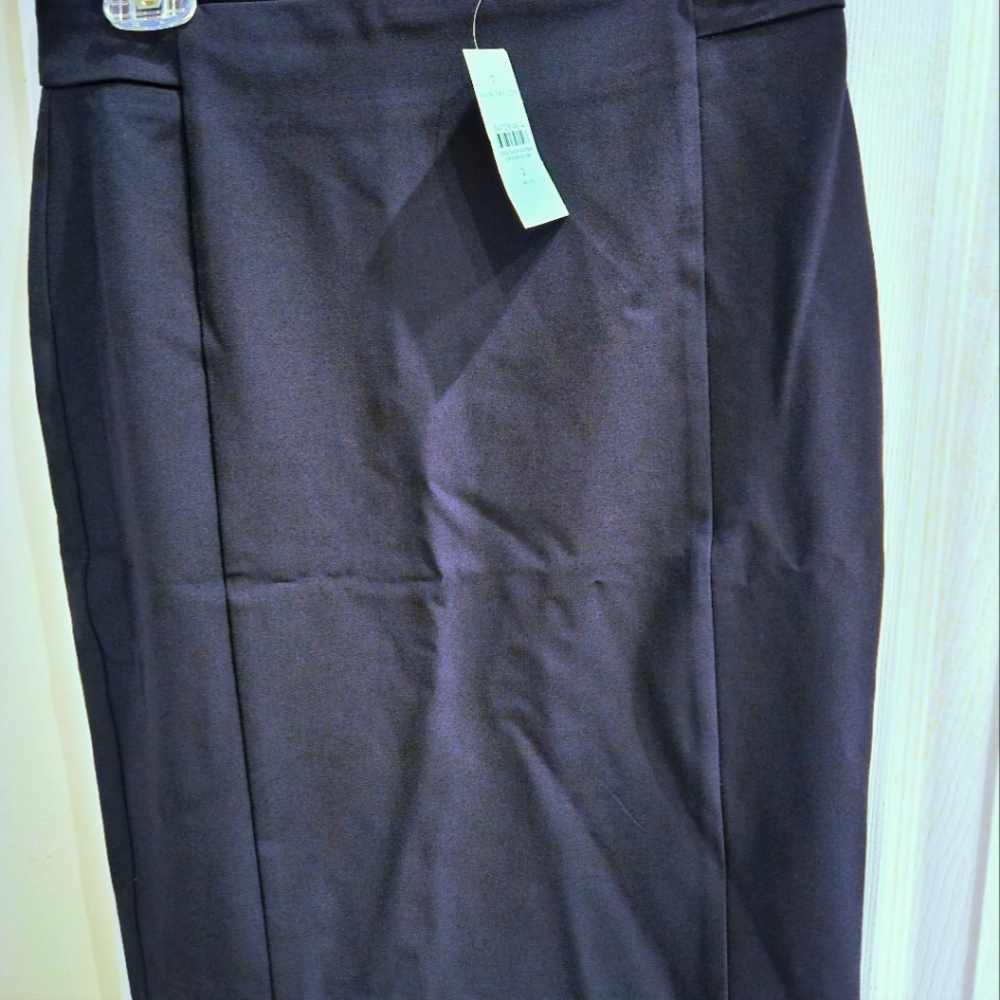 Ann Taylor deep sky navy Seamed Pencil Skirt- size 2 petite BRAND NEW NEVER WORN - Picture 7 of 8